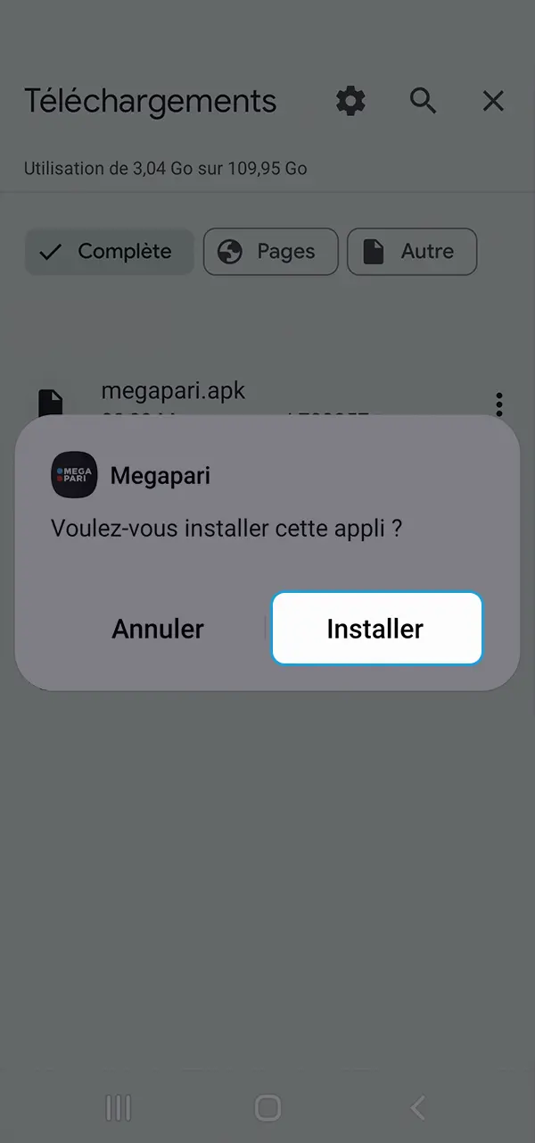 Installe l'application et accède à MegaPari au Cameroun.